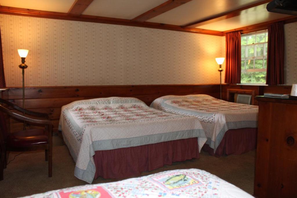 White Trellis Motel North Conway Rum bild