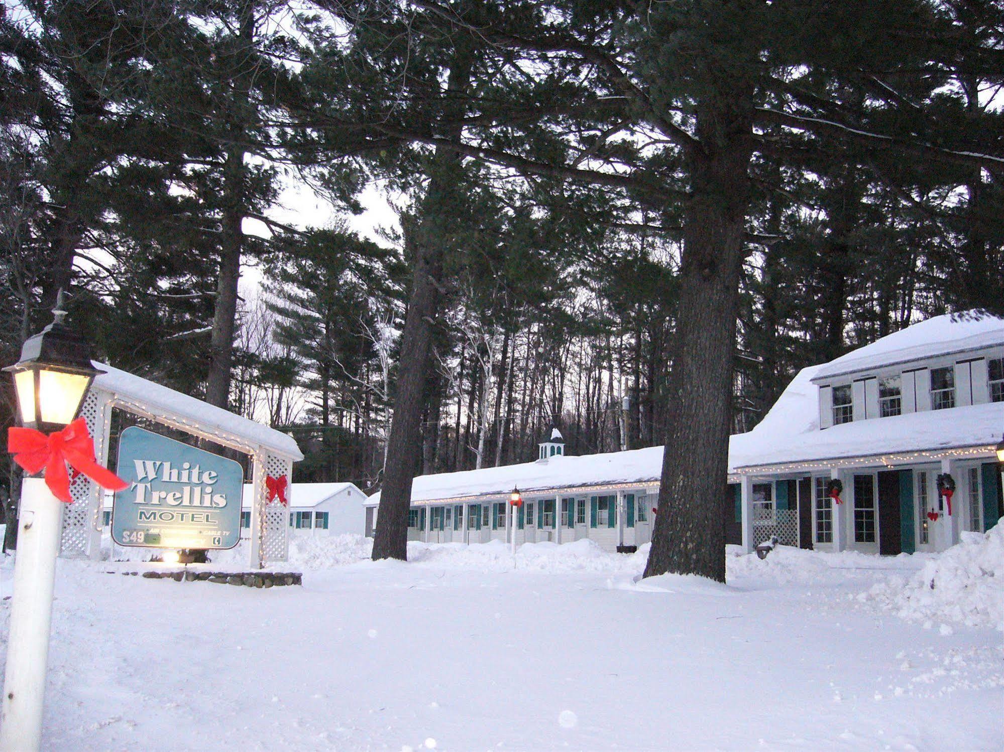 White Trellis Motel North Conway Exteriör bild